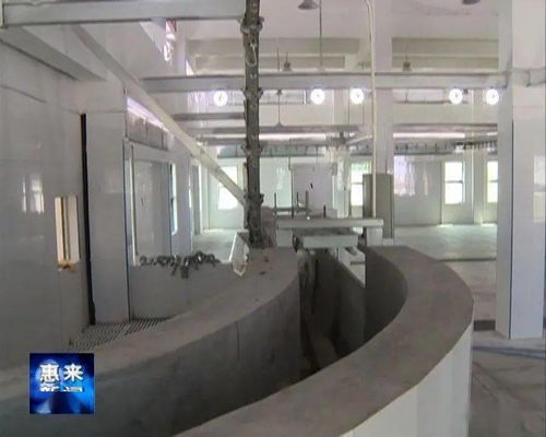 縣食品倉儲中心和機(jī)械化肉聯(lián)廠建成并試運(yùn)營