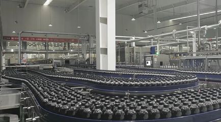 綠色智造 + 前沿研發(fā) 元?dú)馍忠噪p輪驅(qū)動助力咸寧打造世界級飲料生產(chǎn)基地