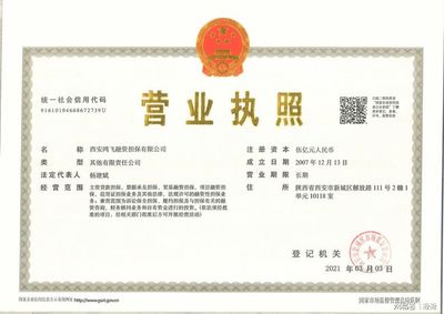 西安鴻飛融資擔(dān)保 以專業(yè)服務(wù)賦能，鴻飛擔(dān)保正式接入個(gè)人征信系統(tǒng)