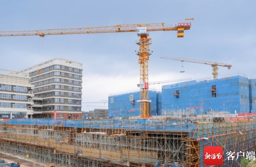 國家緊急醫(yī)學(xué)救援基地海南建設(shè)項(xiàng)目取得新進(jìn)展 全面啟動(dòng)建設(shè)工程施工階段